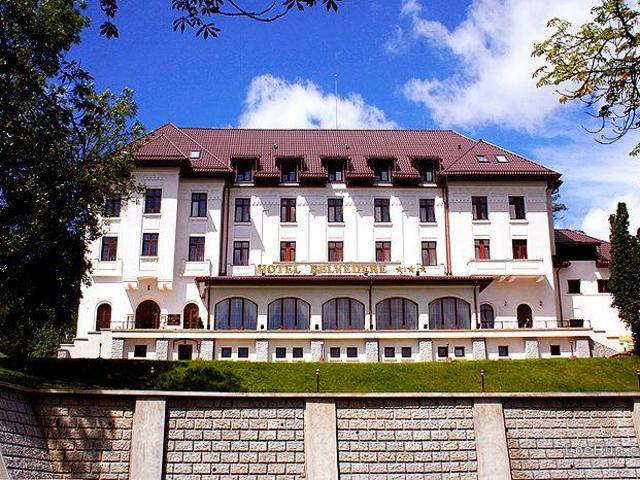 Teren vânzări în Valcea