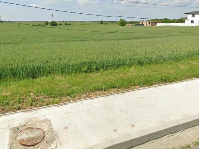 Teren vânzări în Balotesti, Ilfov