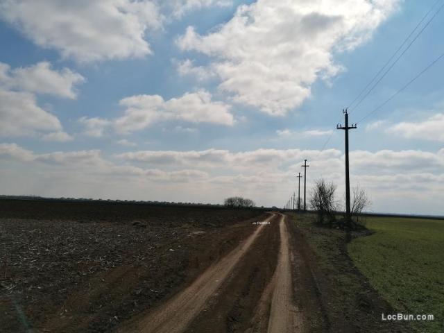 Teren vânzări în Balotesti, Ilfov
