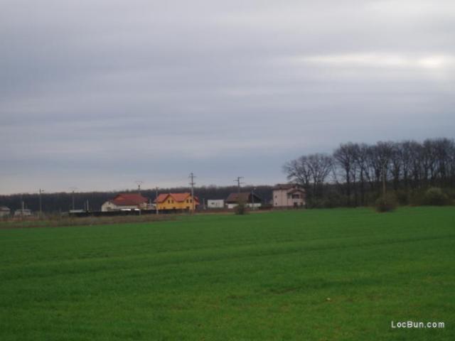 Teren vânzări în Romani, București