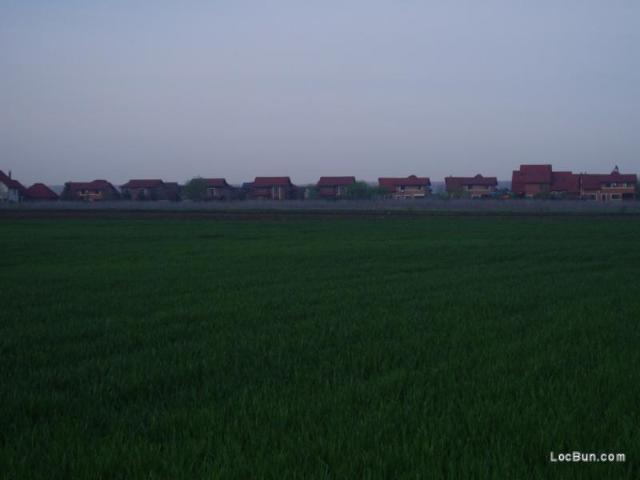 Teren vânzări în Romani, București