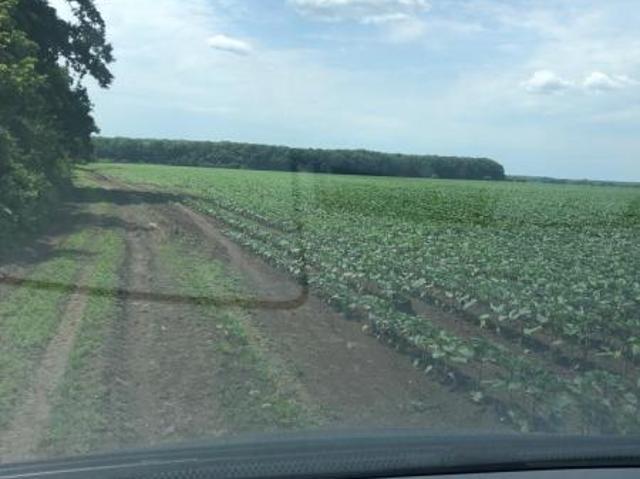 Teren vânzări în Romani, București