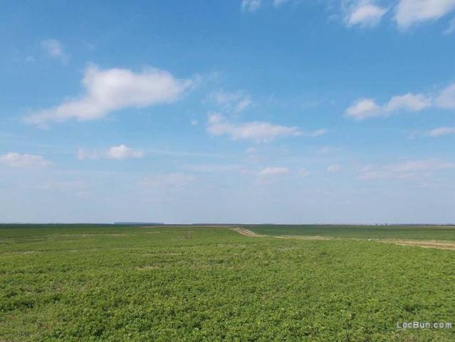 Teren pentru Construcții vânzări în Calarasi