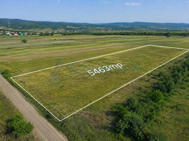 Casă închirieri în Tileagd, Bihor