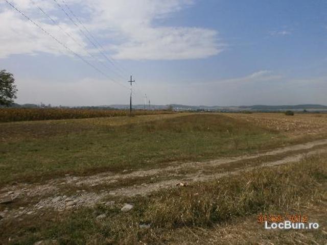 Teren pentru Construcții vânzări în Solovastru, Mureș