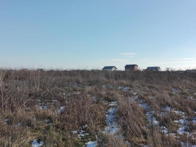 Casă vânzări în Darza