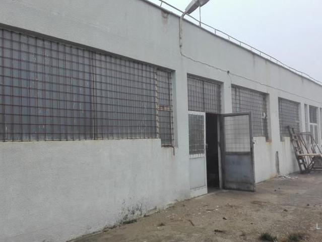 Teren vânzări în Campia Turzii, Cluj