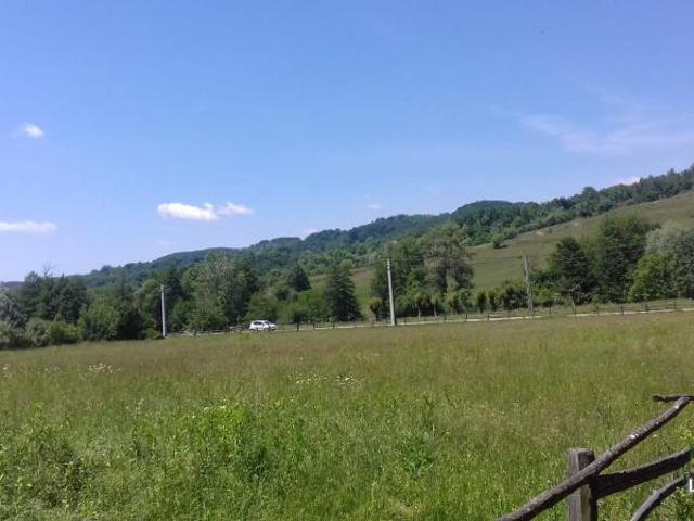 Teren vânzări în Argeș