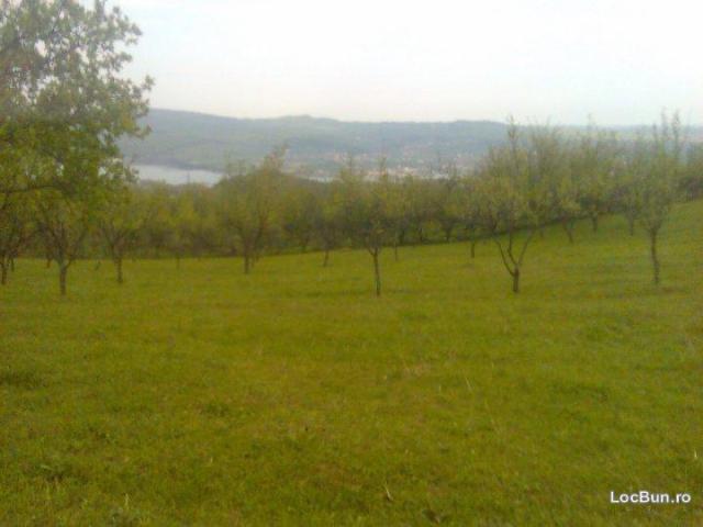 Teren vânzări în Valcea