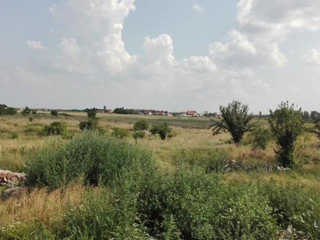 Teren vânzări în Livada, Arad