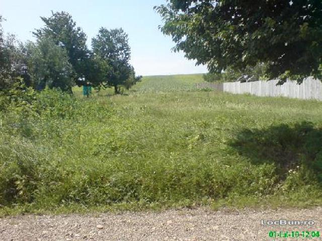 Teren vânzări în Neamț
