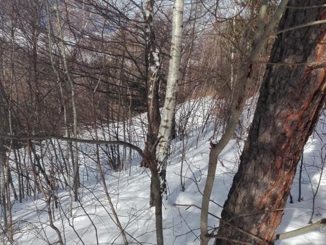 Teren vânzări în Moieciu De Jos, Brașov