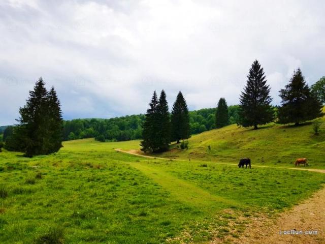 Teren vânzări în Brasov, Brașov