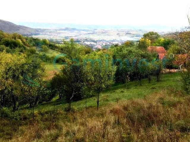Apartament închirieri în Bihor