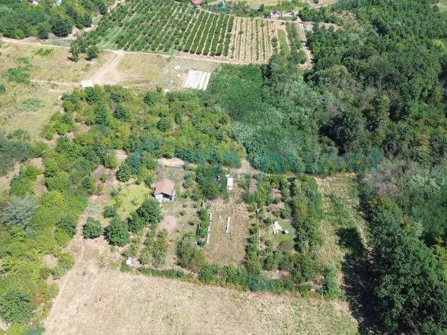 Apartament închirieri în Saldabagiu De Munte, Bihor