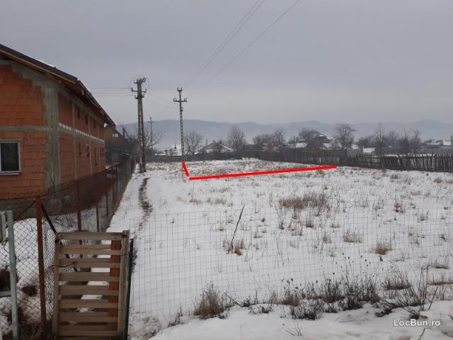 Teren vânzări în Neamț