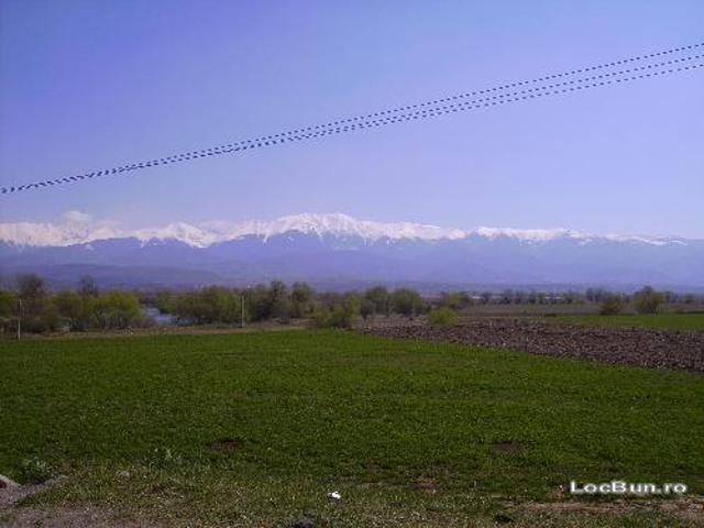 Teren vânzări în Fagaras, Brașov
