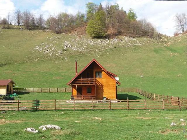 Teren vânzări în Dambovicioara Teren vânzări în Dambovicioara