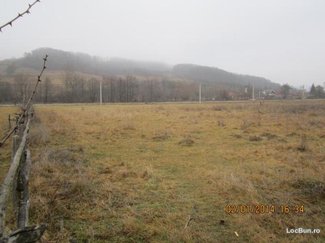 Teren vânzări în Argeș