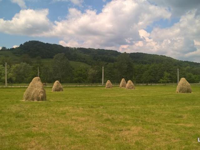 Teren vânzări în Argeș