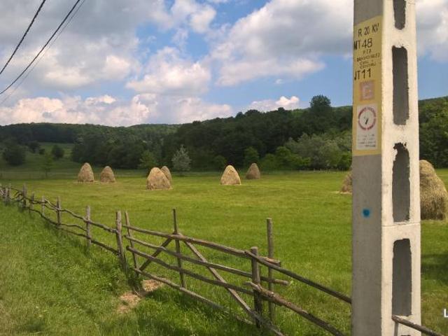 Teren vânzări în Argeș