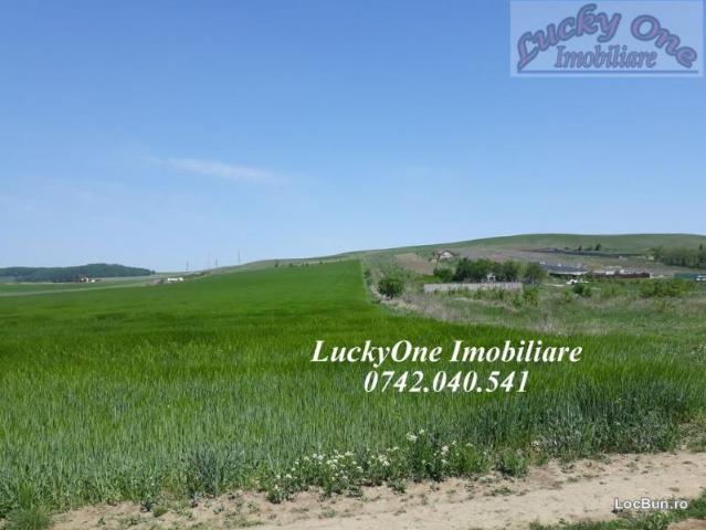 Teren vânzări în Neamț