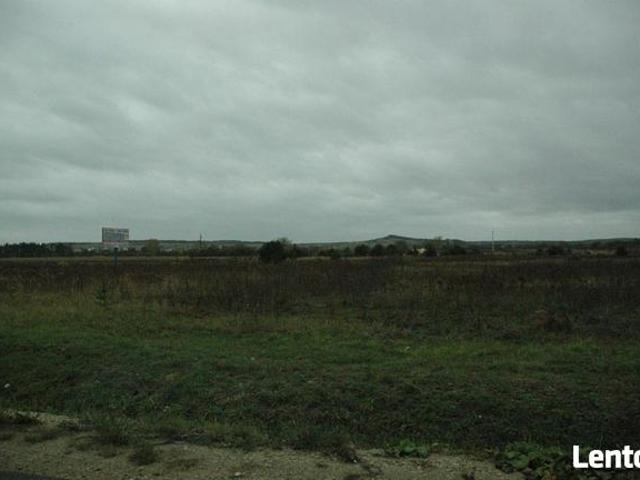 Grunt na sprzedaż w Żarnów, Łódzkie
