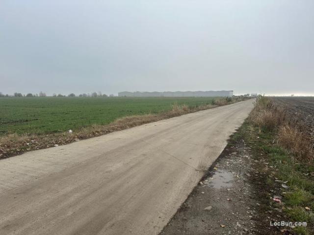 Teren vânzări în Romani, București