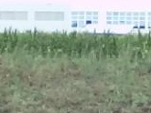 Teren vânzări în Romani, București