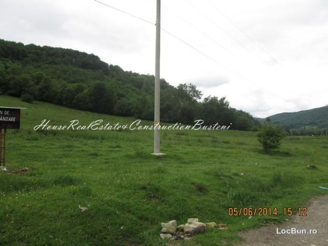 Teren pentru Construcții vânzări în Brașov