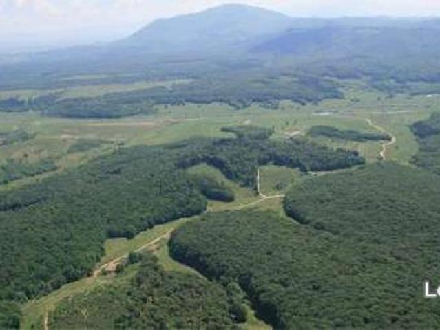 Teren vânzări în Brașov