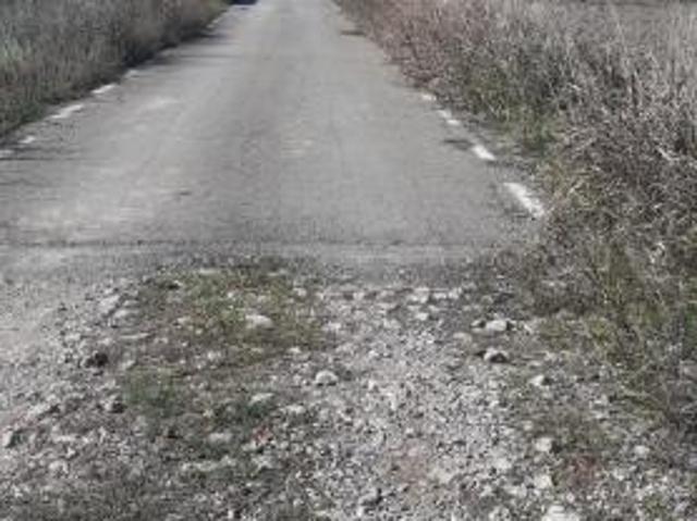 Teren vânzări în Romani, București