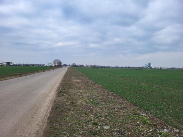 Teren vânzări în Romani, București