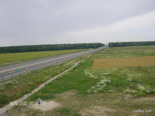 Teren vânzări în Tancabesti, București
