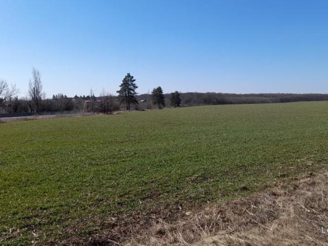 Teren vânzări în Romani, București