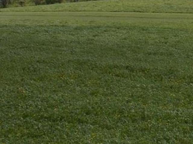 Teren pentru Construcții vânzări în Sura Mare, Sibiu