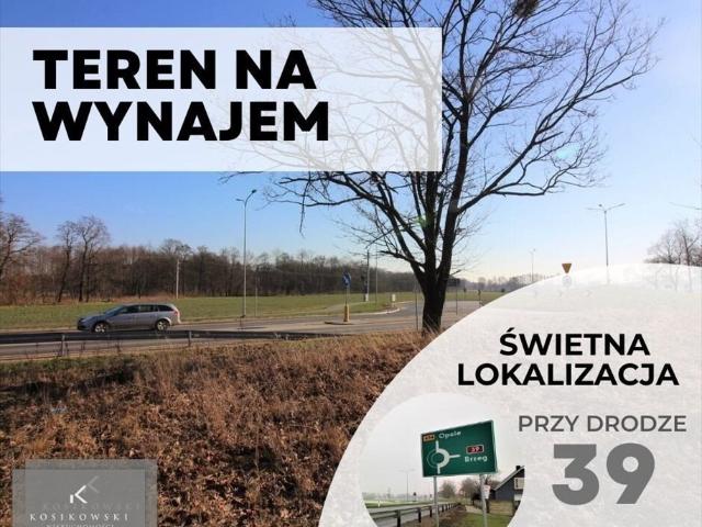 Grunt na sprzedaż w Namysłów, Opolskie