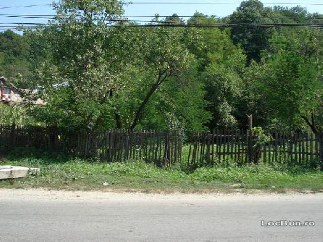 Teren vânzări în Prahova