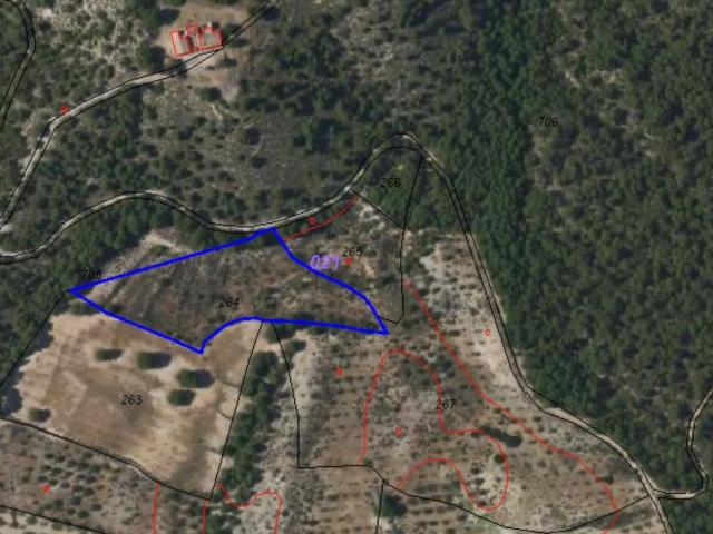 Terreno en venta en Ricote, Región de Murcia