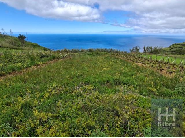 Terreno venda em Fajã Da Ovelha, Ilha Da Madeira