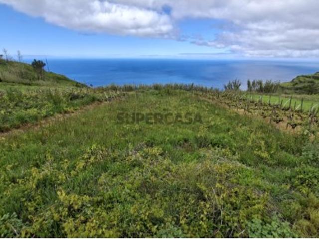 Terreno venda em Fajã Da Ovelha, Ilha Da Madeira