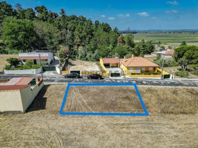 Terreno venda em Chamusca e Pinheiro Grande, Chamusca