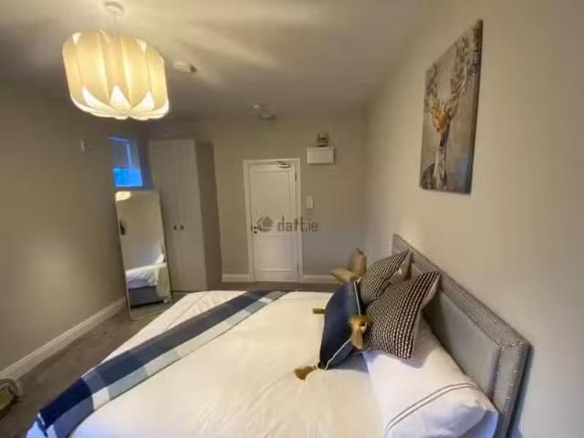 House to rent