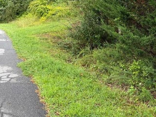 Land for sale in Cloverdale, Botetourt County