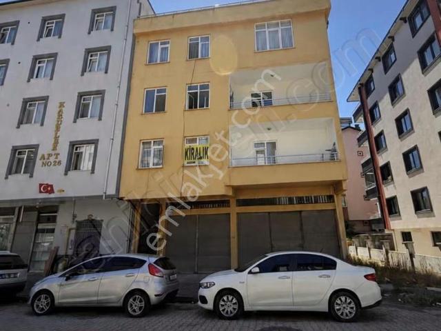 Terme, Samsun içerisinde kiralık mülk