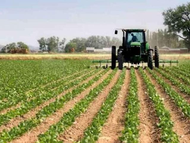 Terreno in vendita a Parezzana, Capannori