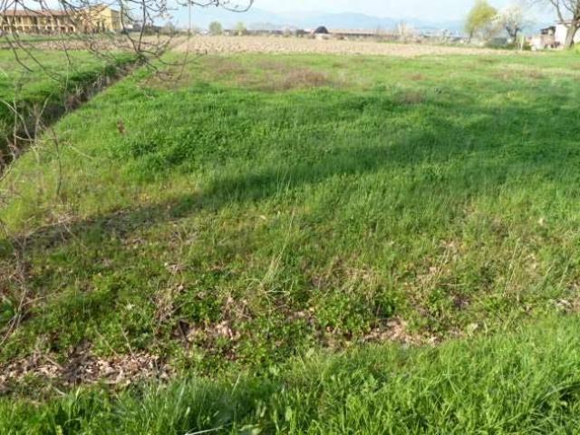 Terreno in vendita a Porcari, Toscana