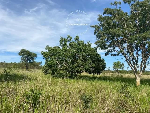 Fazenda venda em Região Geográfica Imediata de Anápolis, Região Integrada de Desenvolvimento do Distrito Federal e Entorno