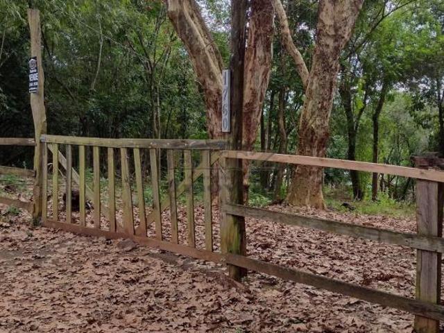 Terreno venda em Região Geográfica Imediata de Novo Hamburgo - São Leopoldo, Região Metropolitana de Porto Alegre