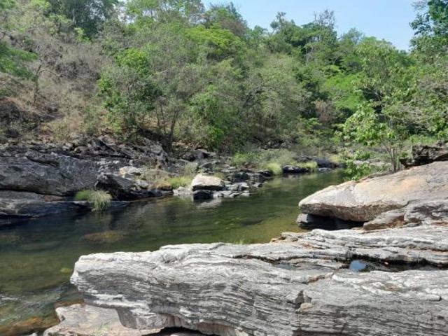Sítio e chácara venda em Região Geográfica Imediata de Flores de Goiás, Alto Paraíso de Goiás